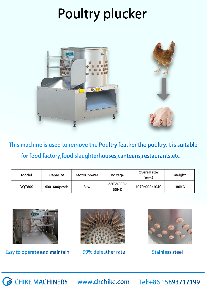 800 rotary type poultry plucker